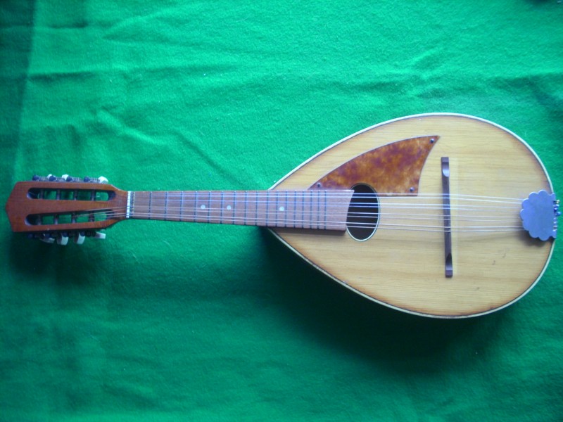 Mandolína osmistrunná